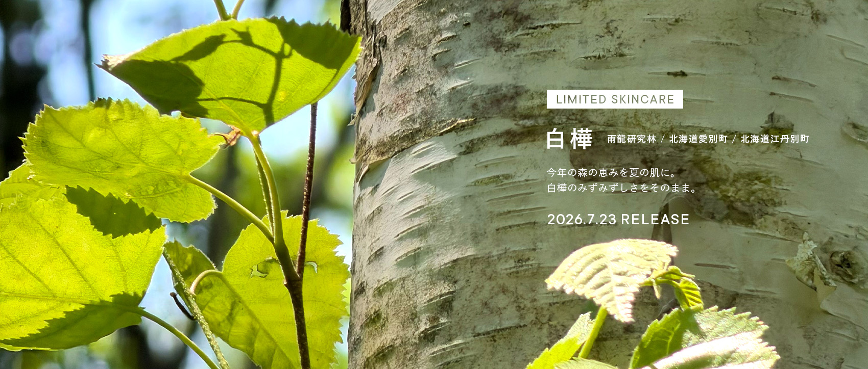 shiro購入予定品 SHIRO 公式オンラインストア