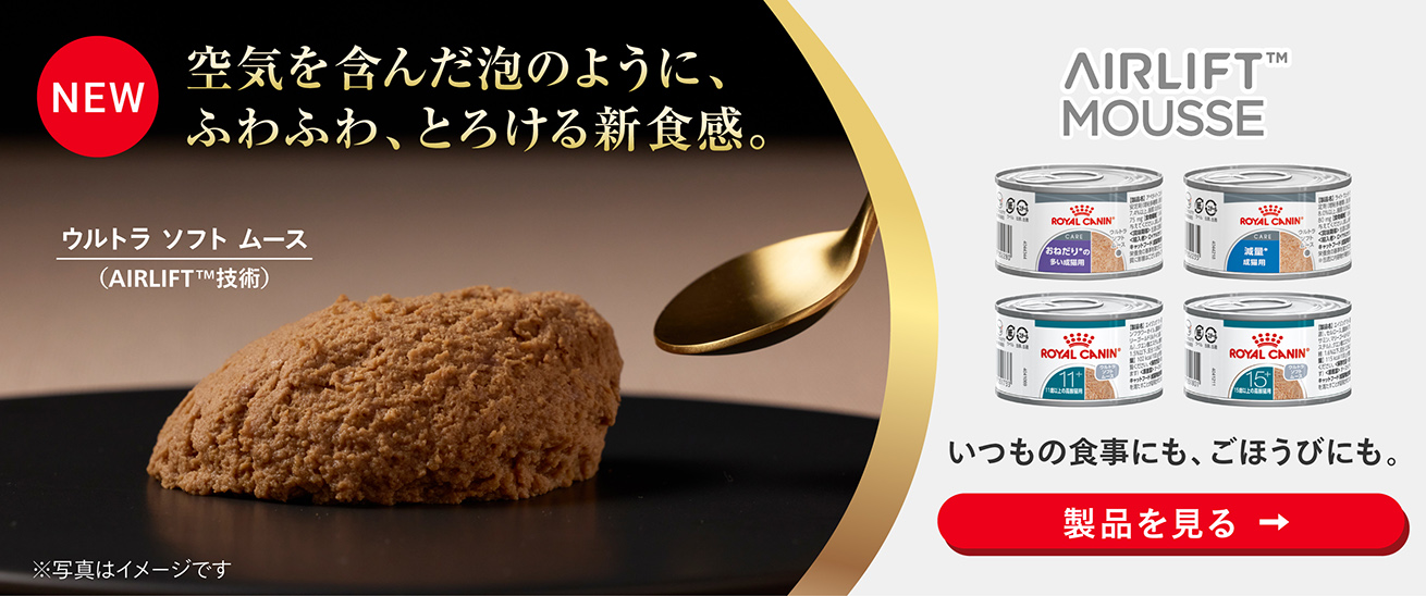 ロイヤルカナン｜公式オンラインストア（総合栄養食） | Royal Canin
