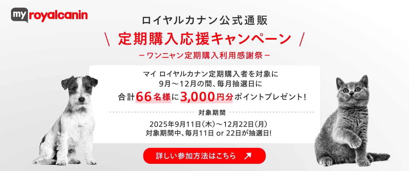 マイ ロイヤルカナン公式通販（総合栄養食） - ROYAL CANIN