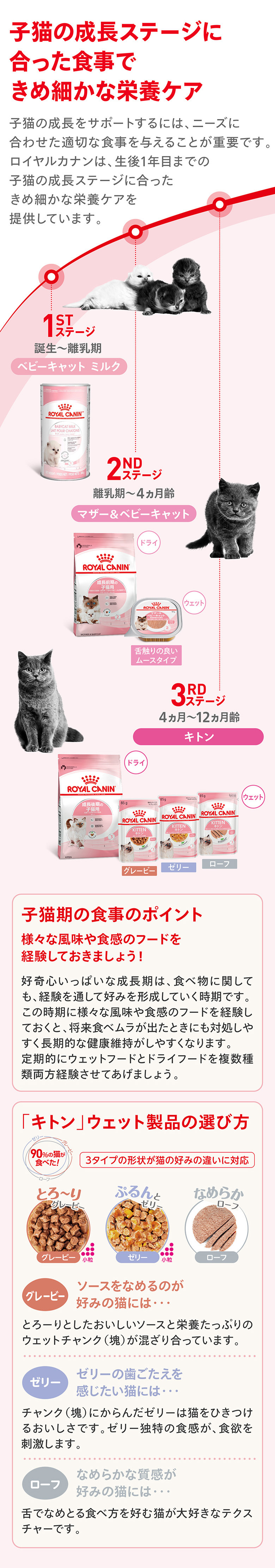 子猫（キトン）用フード｜ロイヤルカナン公式 | Royal Canin jp-shop