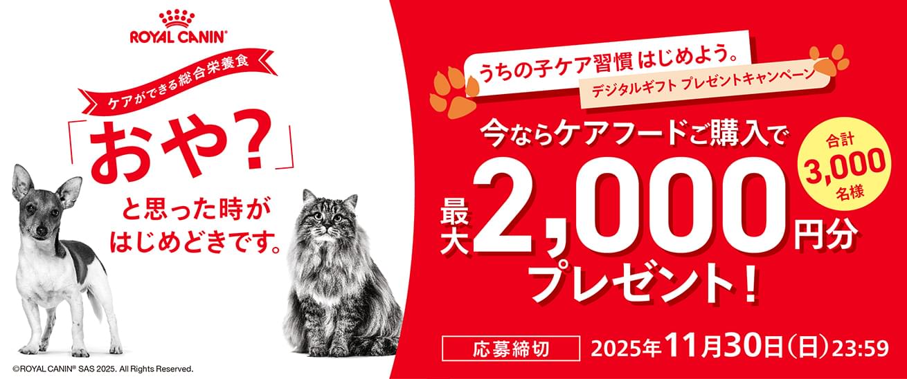 マイ ロイヤルカナン公式通販（総合栄養食） - ROYAL CANIN