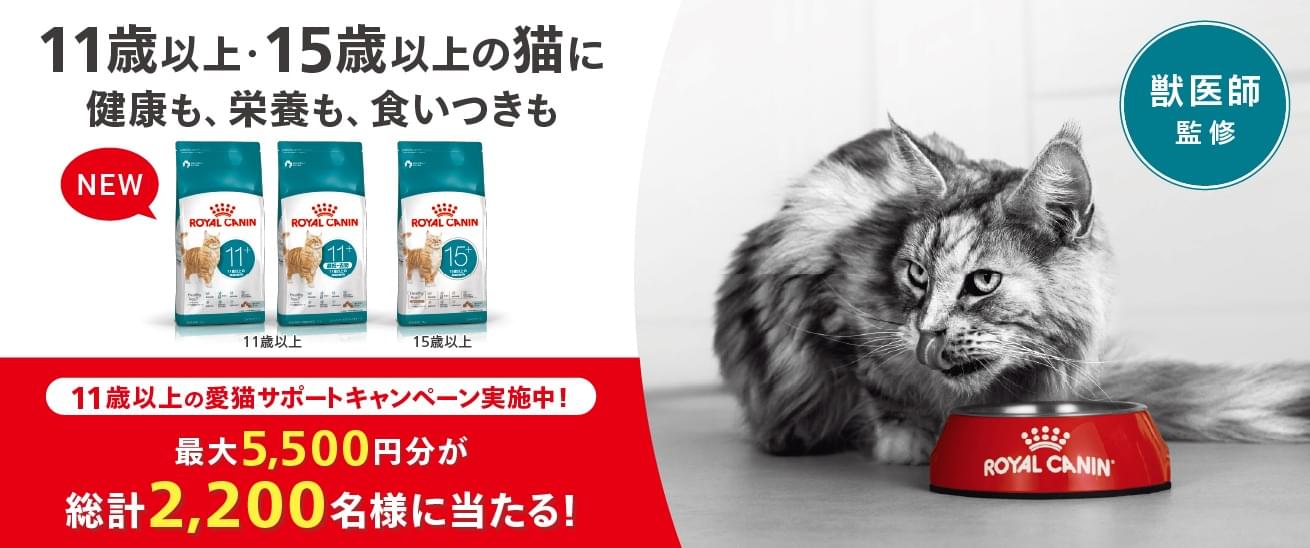 マイ ロイヤルカナン公式通販（総合栄養食） - ROYAL CANIN