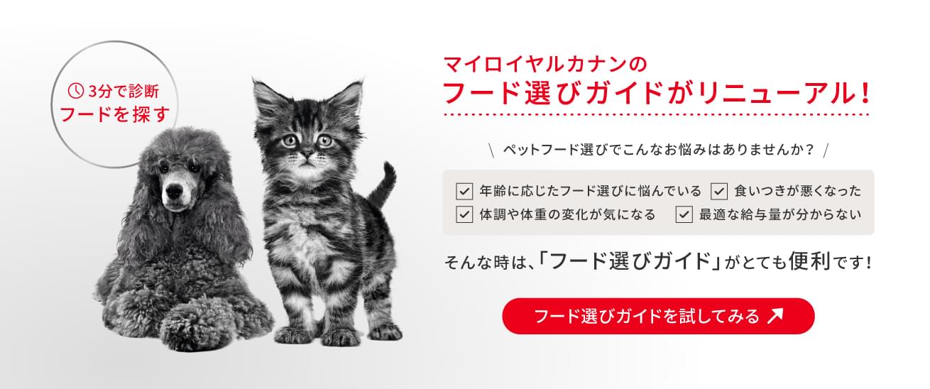 マイ ロイヤルカナン公式通販（総合栄養食） - ROYAL CANIN