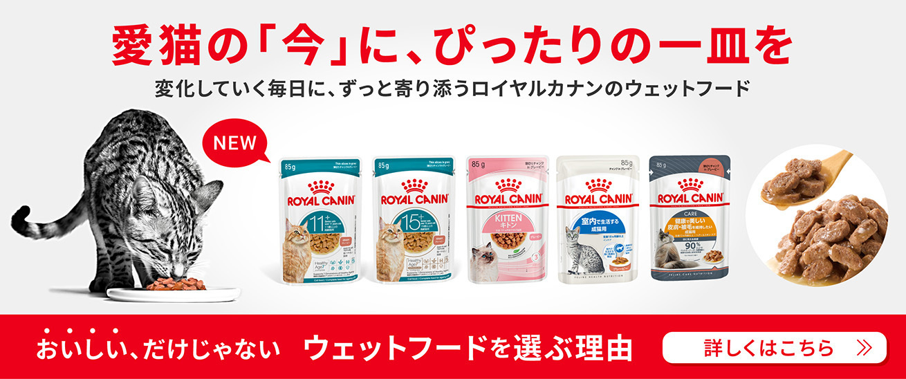 ロイヤルカナン｜公式オンラインストア（総合栄養食） | Royal Canin