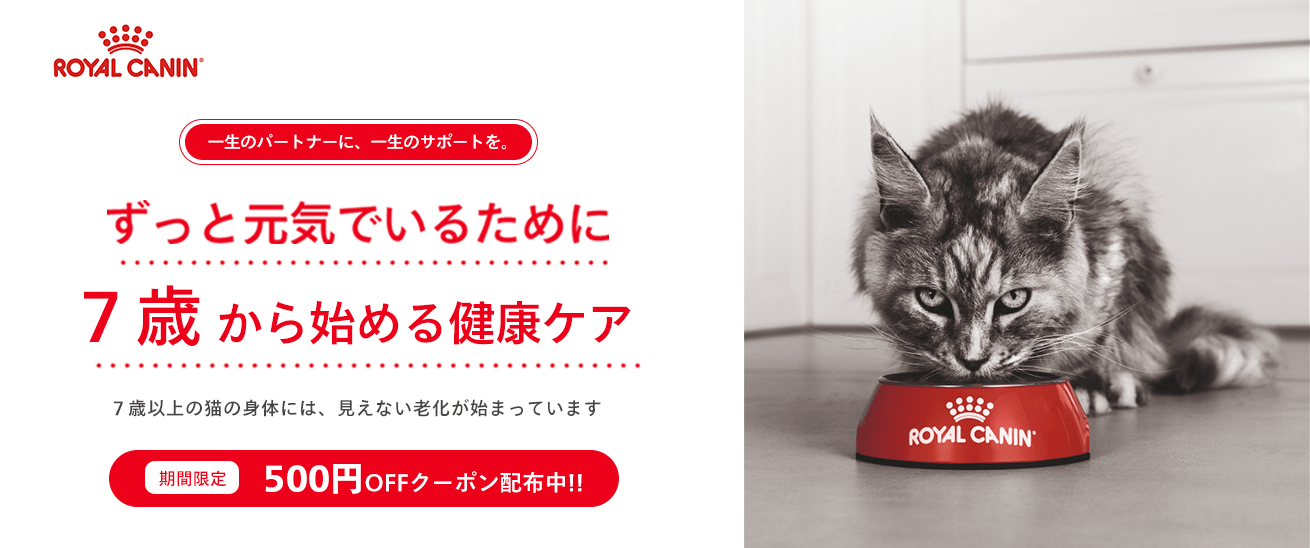 rmfp様まとめ買い w/d 3.9 キロ7.5キロロイアルカナン rmfp様まとめ買い w/d 3.9 キロ7.5キロロイアルカナン