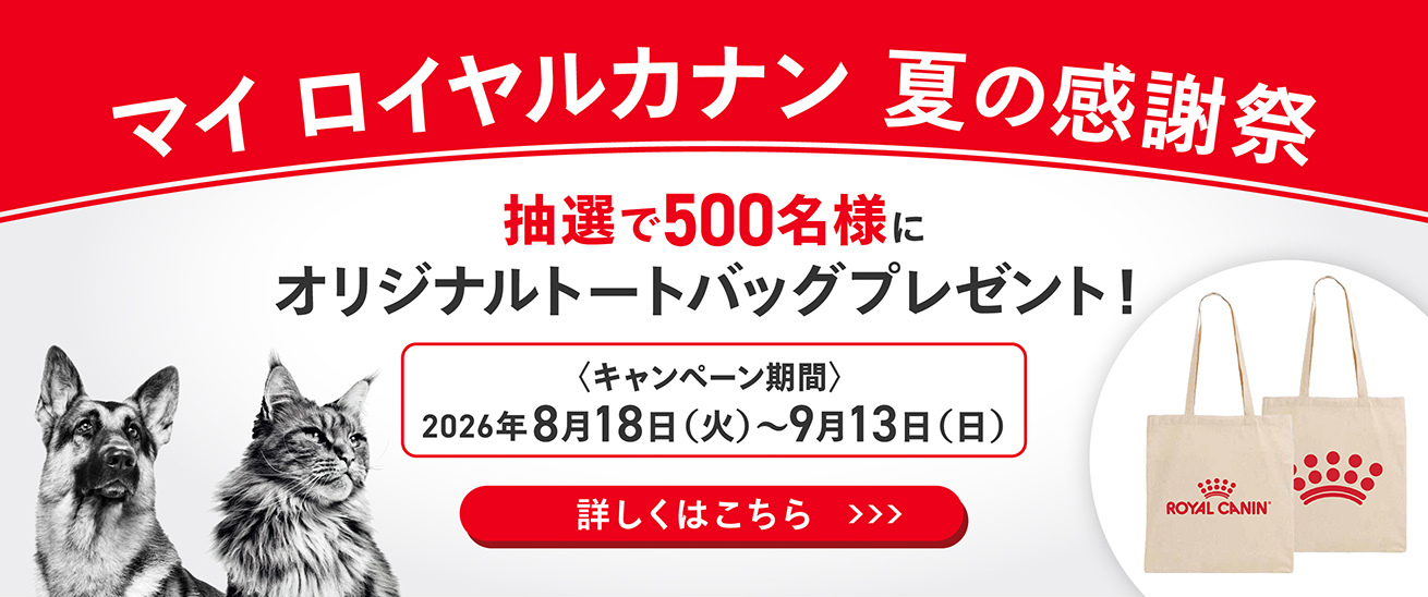 ロイヤルカナン｜公式オンラインストア（総合栄養食） | Royal Canin