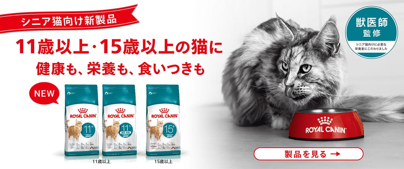 マイ ロイヤルカナン公式通販（総合栄養食） - ROYAL CANIN