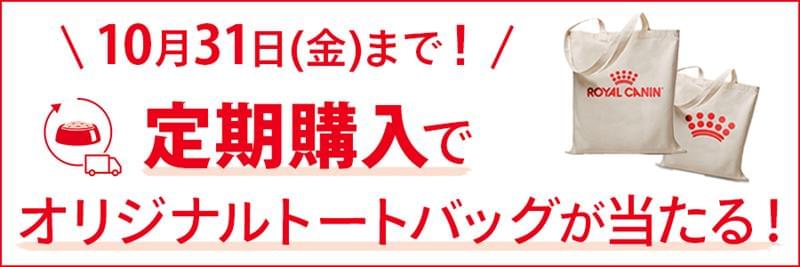 心臓サポート 心臓サポート（犬用 ウェット 缶） | Royal Canin JP