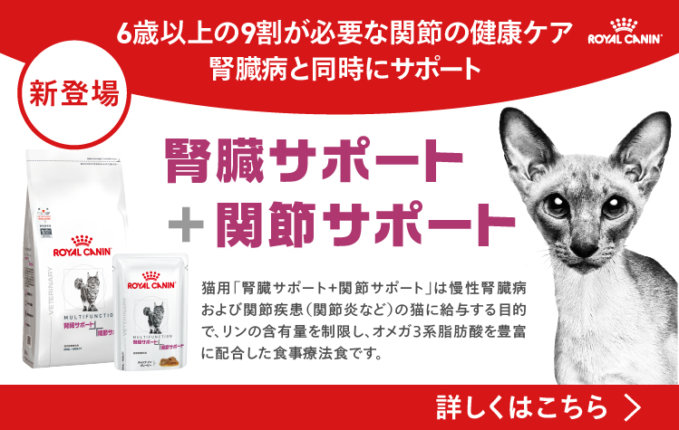 ベッツホームデリバリー | ロイヤルカナン療法食公式通販 – ロイヤル