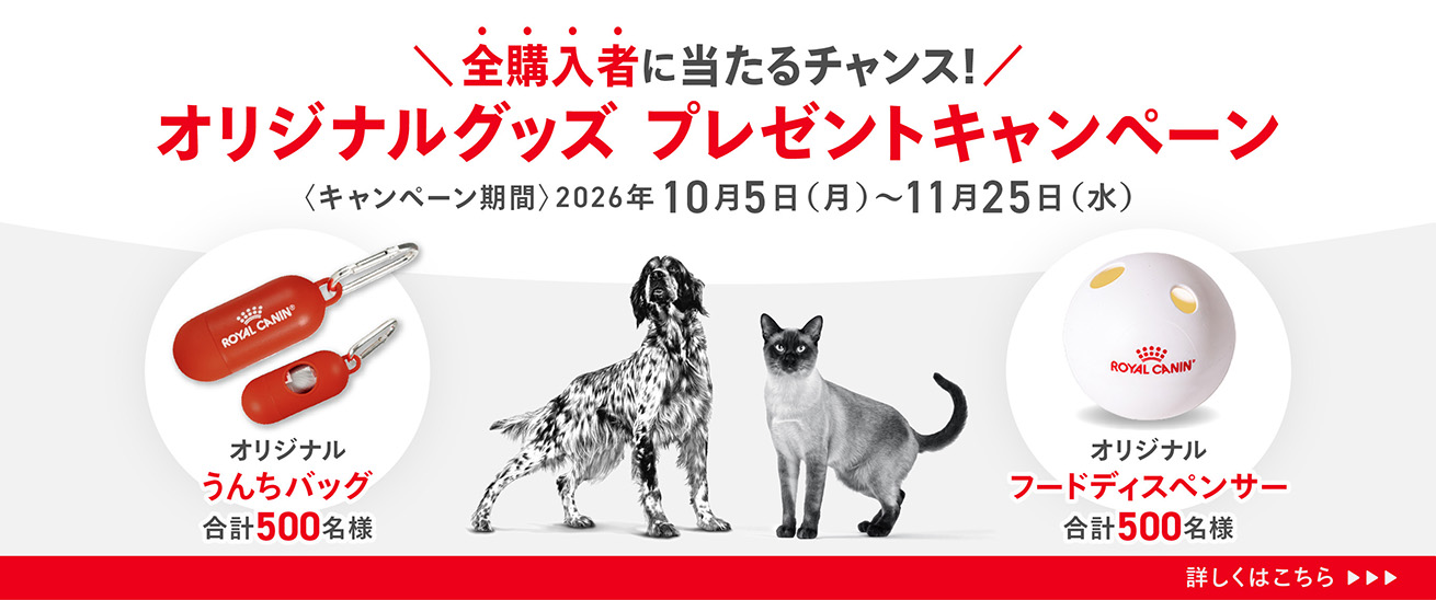 ベッツホームデリバリー | ロイヤルカナン療法食公式通販 – ロイヤル