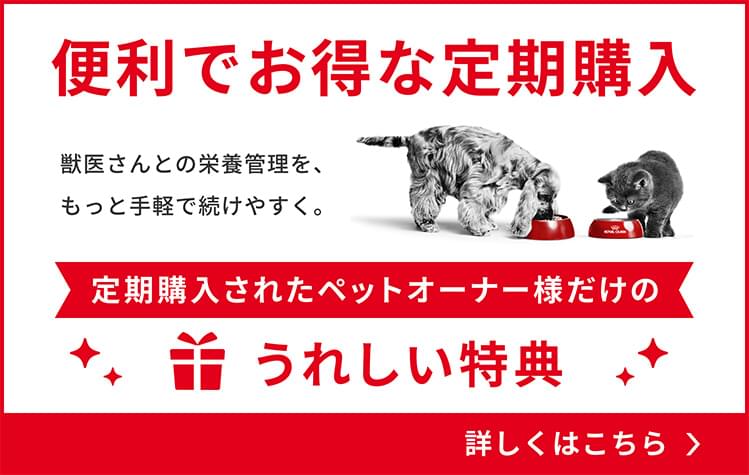 ベッツホームデリバリー | ロイヤルカナン療法食公式通販