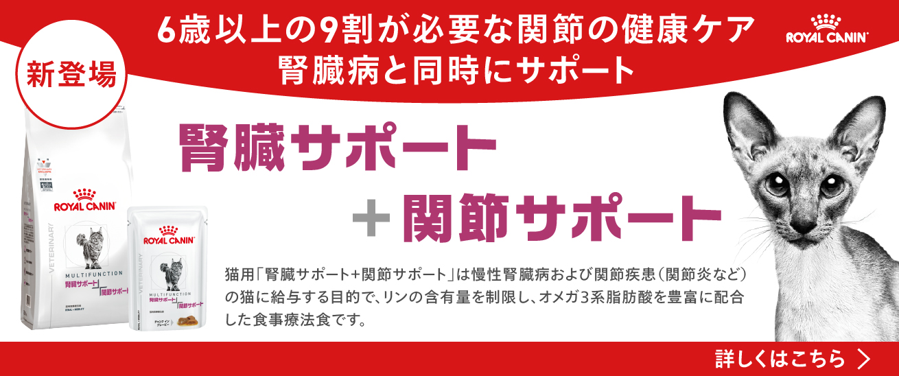 ベッツホームデリバリー | ロイヤルカナン療法食公式通販 – ロイヤル