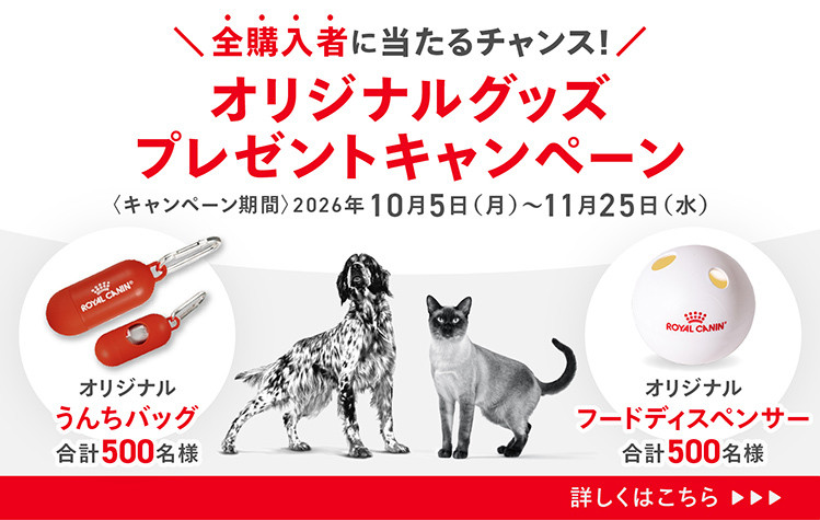 ベッツホームデリバリー | ロイヤルカナン療法食公式通販 – ロイヤル