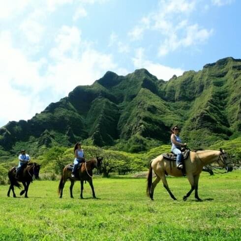 乗馬