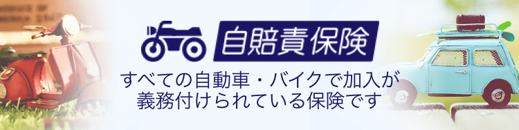 保険料例 自賠責保険 強制保険 個人のお客さま 三井住友海上